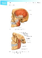 Sobotta Atlas of Human Anatomy  Head,Neck,Upper Limb Volume1 2006, page 73